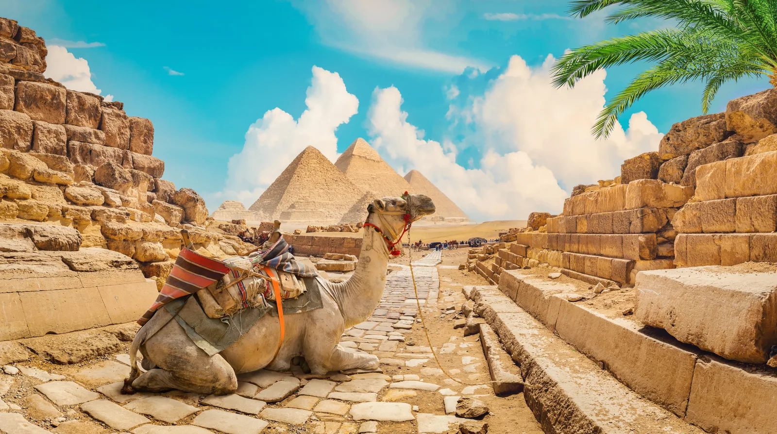 Hurghada nebo Marsa Alam? Kam do Egypta za sluncem a mořem